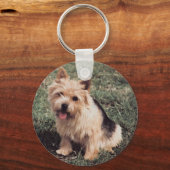 Norwich Terrier Sleutelhanger (Voorkant)