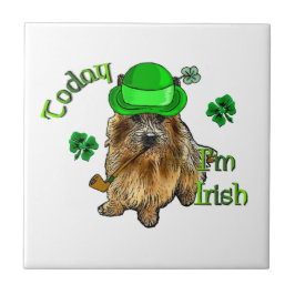 Norwich Terrier St Patricks Tegeltje