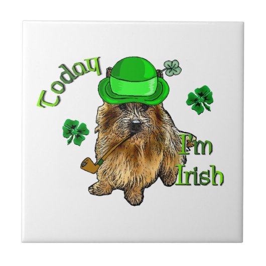 Norwich Terrier St Patricks Tegeltje (Voorkant)