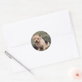 Norwich Terrier Sticker (Envelop)