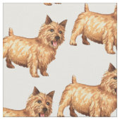 Norwich Terrier Stof (Close Up)