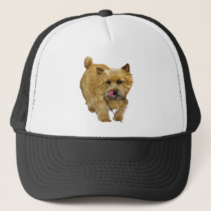 Norwich Terrier Trucker Pet