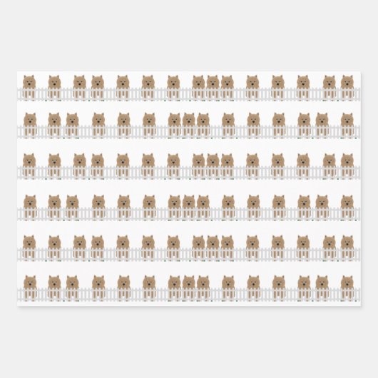 Norwich Terrier Wrapping Paper Sheets (Voorkant 3)