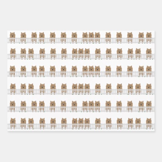 Norwich Terrier Wrapping Paper Sheets (Voorkant 2)