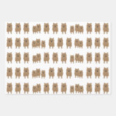 Norwich Terriers die papierbladen oppakken Inpakpapier Vel (Voorkant 3)