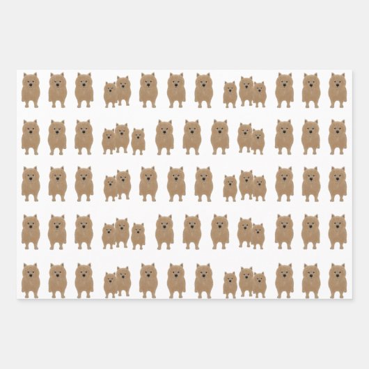 Norwich Terriers die papierbladen oppakken Inpakpapier Vel (Voorkant)