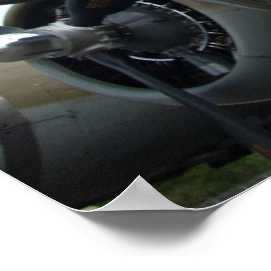 Nose Art Poster (Hoek)