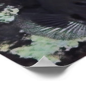 Nose Butterflyvis Poster (Hoek)