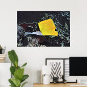 Nose Butterflyvis Poster (Thuiskantoor)