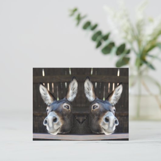 Nosey donkey gespiegeld briefkaart (Staand voorkant)