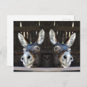 Nosey donkey gespiegeld briefkaart (Voorkant / Achterkant)