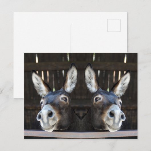 Nosey donkey gespiegeld briefkaart (Voorkant / Achterkant)
