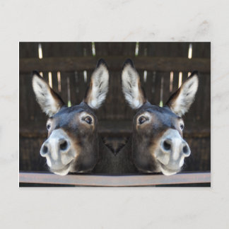 Nosey donkey gespiegeld briefkaart