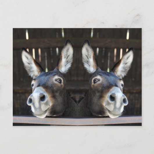 Nosey donkey gespiegeld briefkaart (Voorkant)