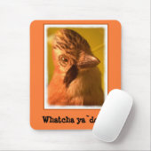 Nosey Jay Bird Muismat (Met muis)