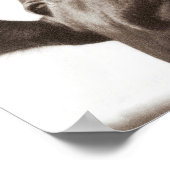 Nosey koe poster (Hoek)