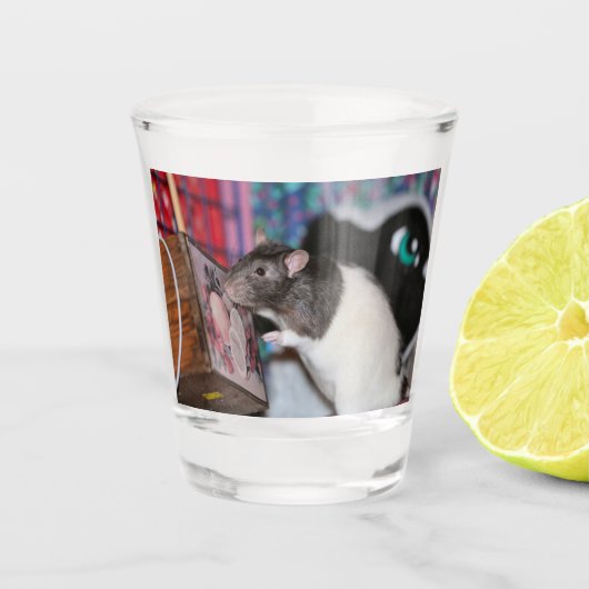Nosey Rat Shot Glas (Voorkant)