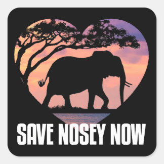 Nosey Sticker. Sticker