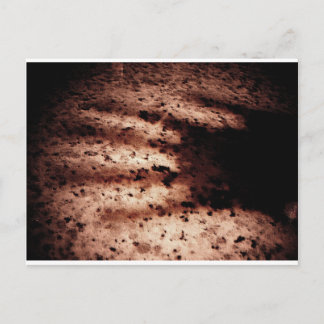 Nosferatu Briefkaart