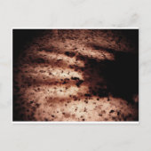 Nosferatu Briefkaart (Voorkant)