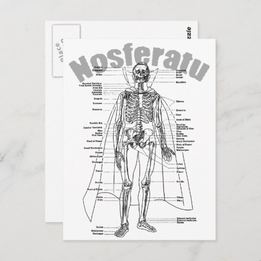 Nosferatu Briefkaart (Voorkant / Achterkant)