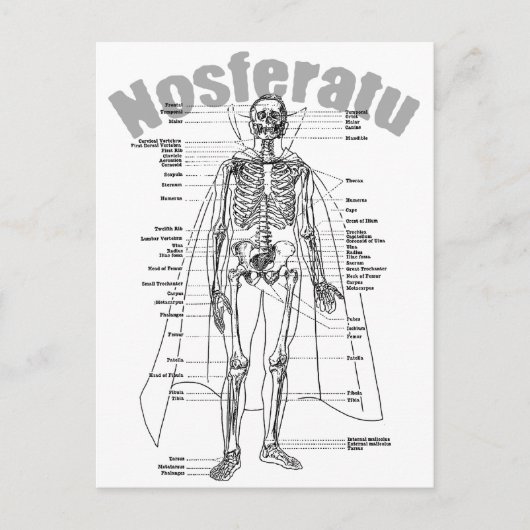Nosferatu Briefkaart (Voorkant)