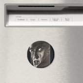 Nosferatu Magneet (Insitu (Vaatwasser))