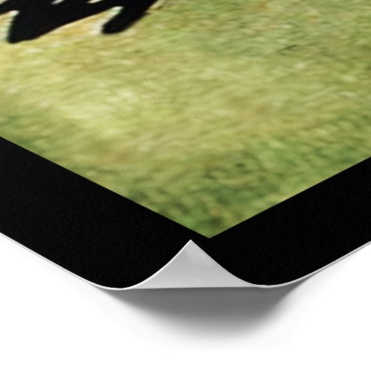 Nosferatu Poster (Hoek)