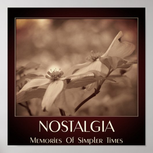Nostalgia Sepia Dogwood Flower Poster (Voorkant)