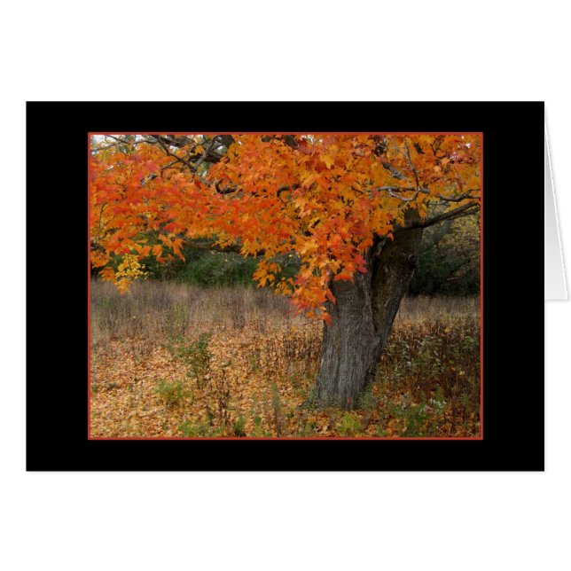 Nostalgic Amber Autumn Card (Voorkant Horizontaal)