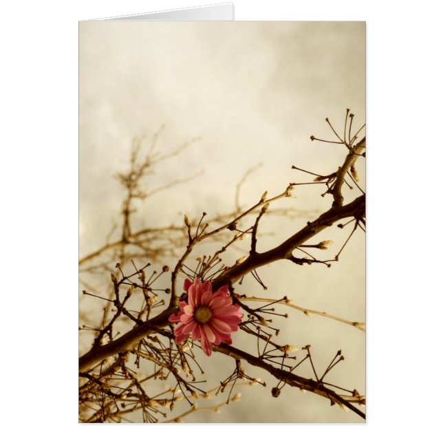 Nostalgie (Voorkant)