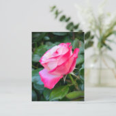 Nostalgie Roos Nostalgia Briefkaart (Staand voorkant)