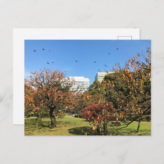 Nostalgisch Autumn Sky Briefkaart (Voorkant / Achterkant)