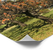 Nostalgisch Autumn Sky Poster (Hoek)