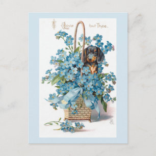Nostalgische  Floral Valentijn met Dachsund Feestdagenkaart