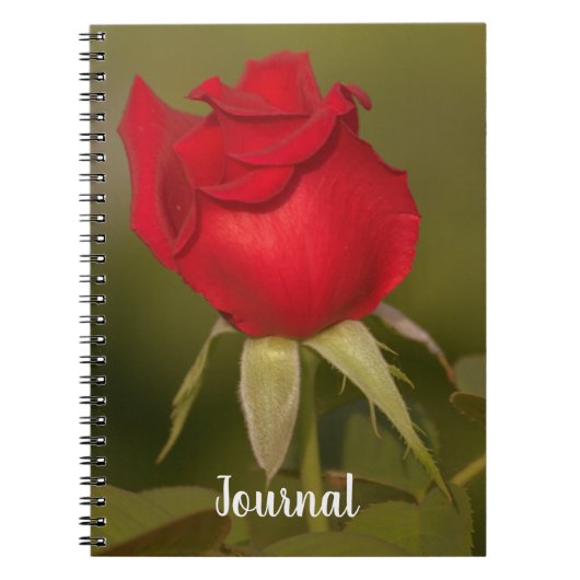 Nostalgische Red Rose Journal-Notitieboek Notitieboek (Voorkant)