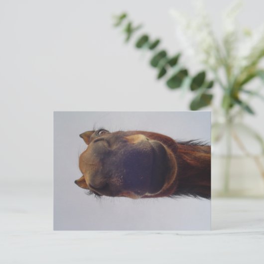 Nosy Briefkaart (Staand voorkant)