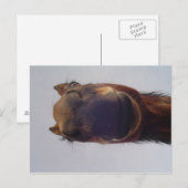 Nosy Briefkaart (Voorkant / Achterkant)