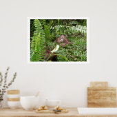 Nosy buren in Kalimantan Indonesië Poster (Keuken)