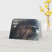 NOSY DOG VRAAGT "JE BENT 50?" FUN BIRTHDAY-KAART KAART (Gele Bloem)