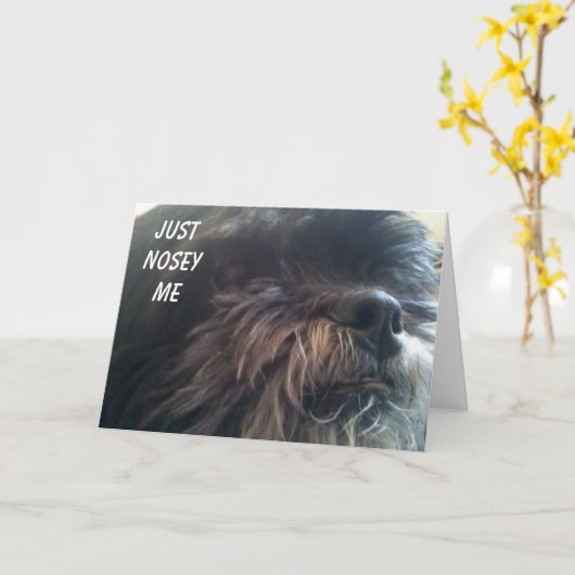 NOSY DOG VRAAGT "JE BENT 50?" FUN BIRTHDAY-KAART KAART (Gele Bloem)