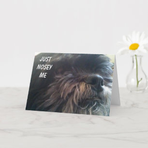 NOSY DOG VRAAGT "JE BENT 50?" FUN BIRTHDAY-KAART KAART