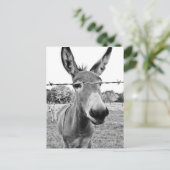 Nosy Donkey Briefkaart (Staand voorkant)