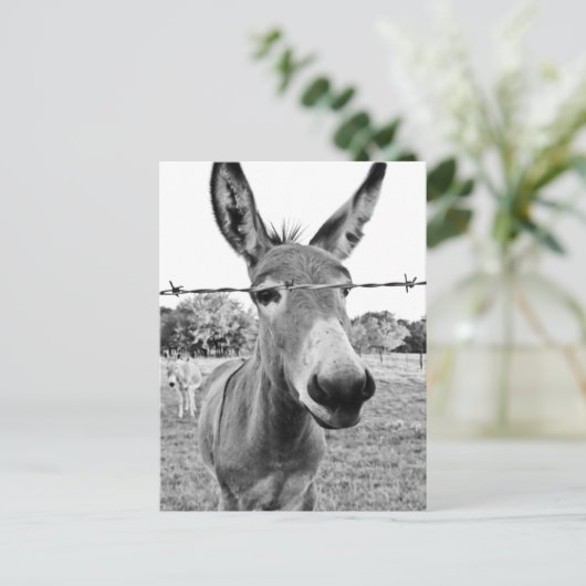 Nosy Donkey Briefkaart (Staand voorkant)