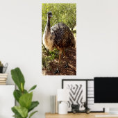 Nosy Emu Poster (Thuiskantoor)