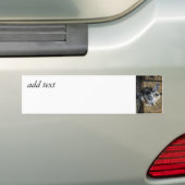 Nosy Goat die naar boven kijkt Bumpersticker (Op auto)