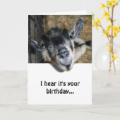 Nosy Goat die omhoog kijkt - Birthday Kaart (Gele Bloem)