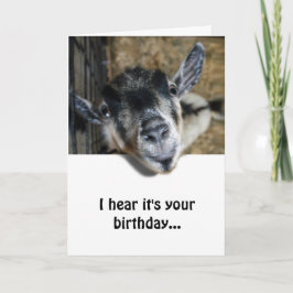 Nosy Goat die omhoog kijkt - Birthday Kaart