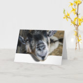 Nosy Goat die uitkijkt Kaart (Gele Bloem)