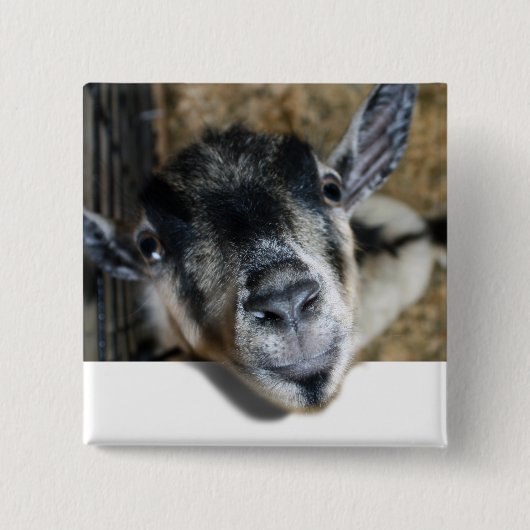 Nosy Goat die uitkijkt Vierkante Button 5,1 Cm (Voorkant)